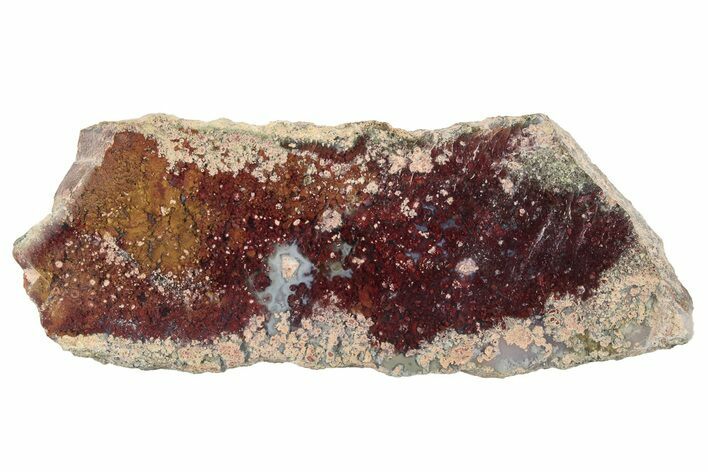 Polished Colorful Plume Agate Slab - Java, Indonesia #271492